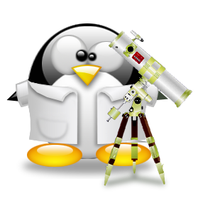 penguin pingouin pinguino 485